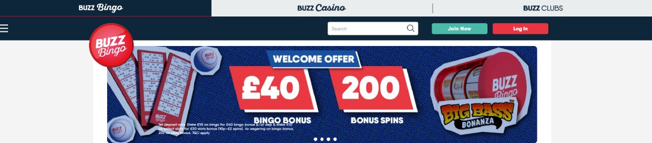 Buzz Bingo Offers